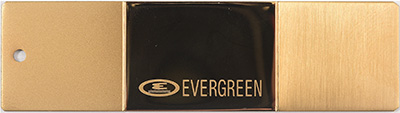 2N EV603