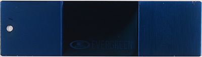 EV309