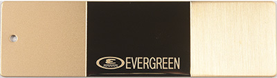 PVD1N EV101